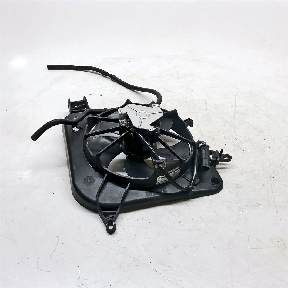 2018 BMW S1000R Fan - 17408541622