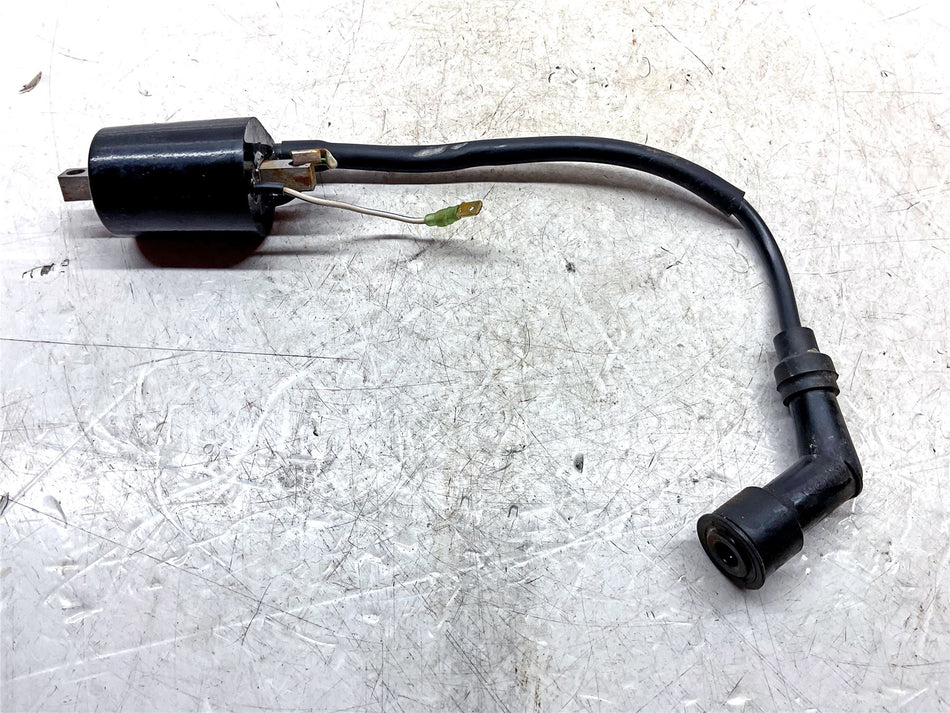 2019 Husqvarna FE450 Ignition Coil - 58439006000