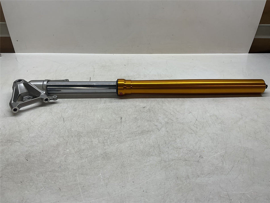 2024 Triumph Tiger 900 SHOWA Left Fork