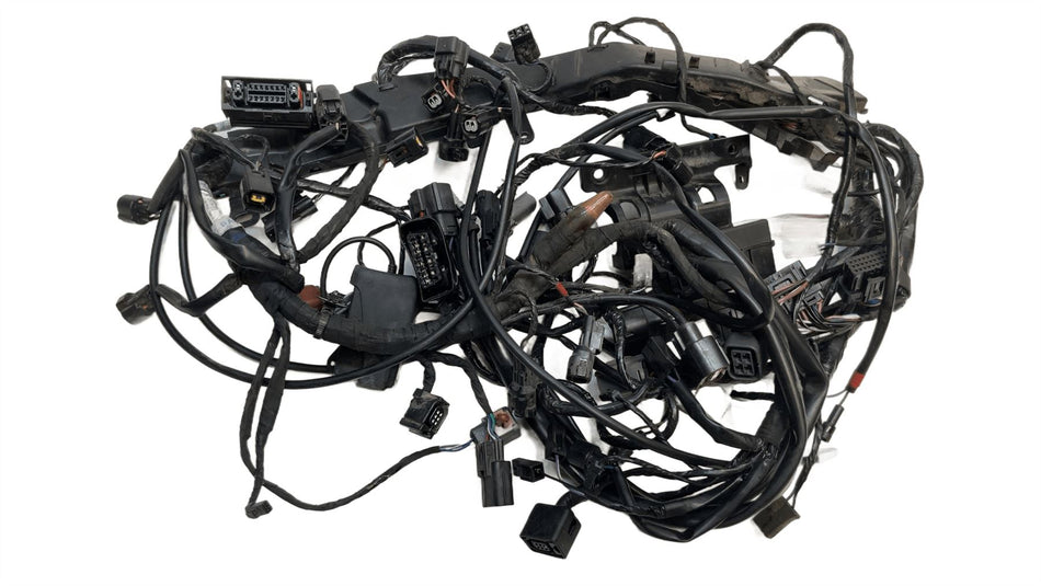 2022 Triumph Tiger 900 Wiring Harness Loom T2501170