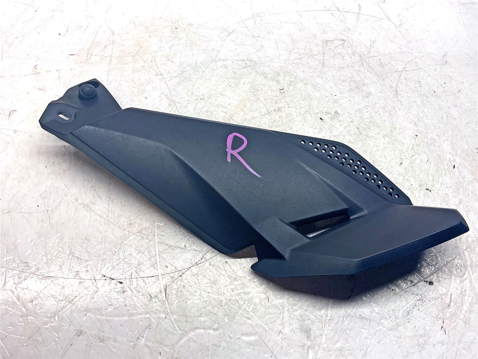 2021 BMW R1250GS Right Side Tank Cover - 46638553368