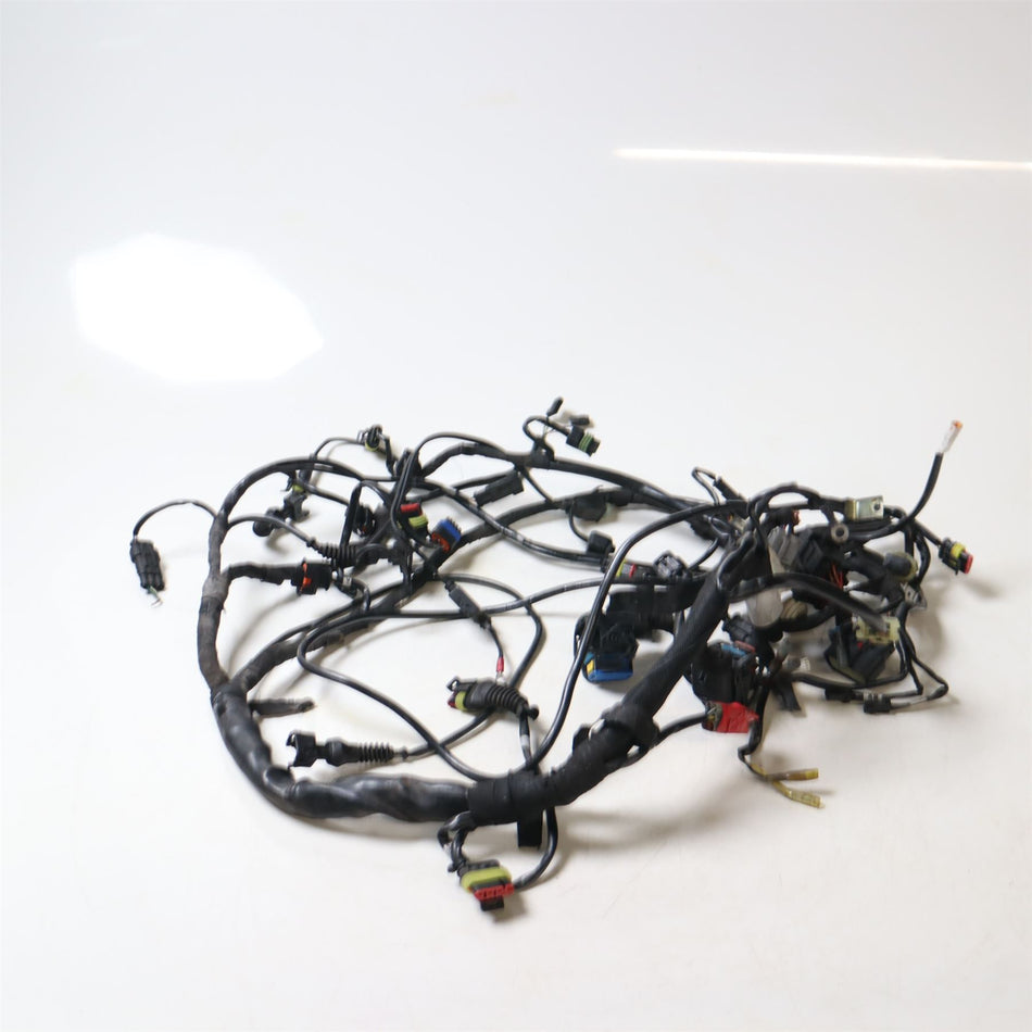 2010 Ducati Streetfighter Wiring Loom - 51016621B