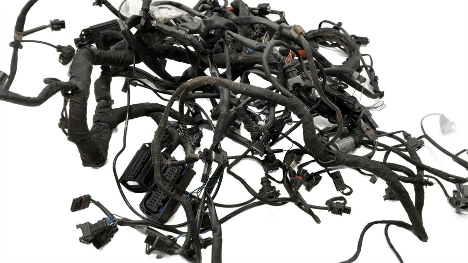 2015 BMW S1000XR Main Wiring Harness Loom 8549318