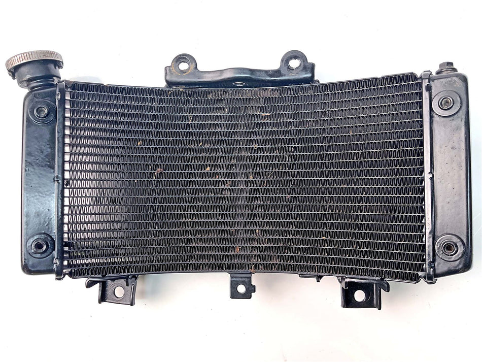 2024 KTM Duke 125 Radiator - 2401001899