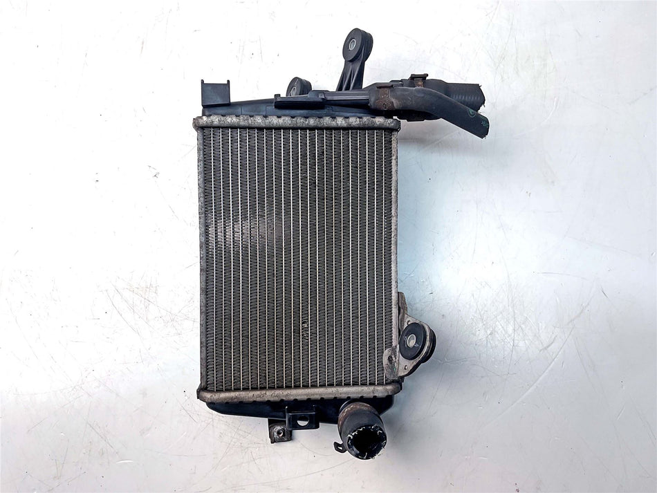 2018 BMW R1200GS ADV Triple Black Left Radiator - 17118546408