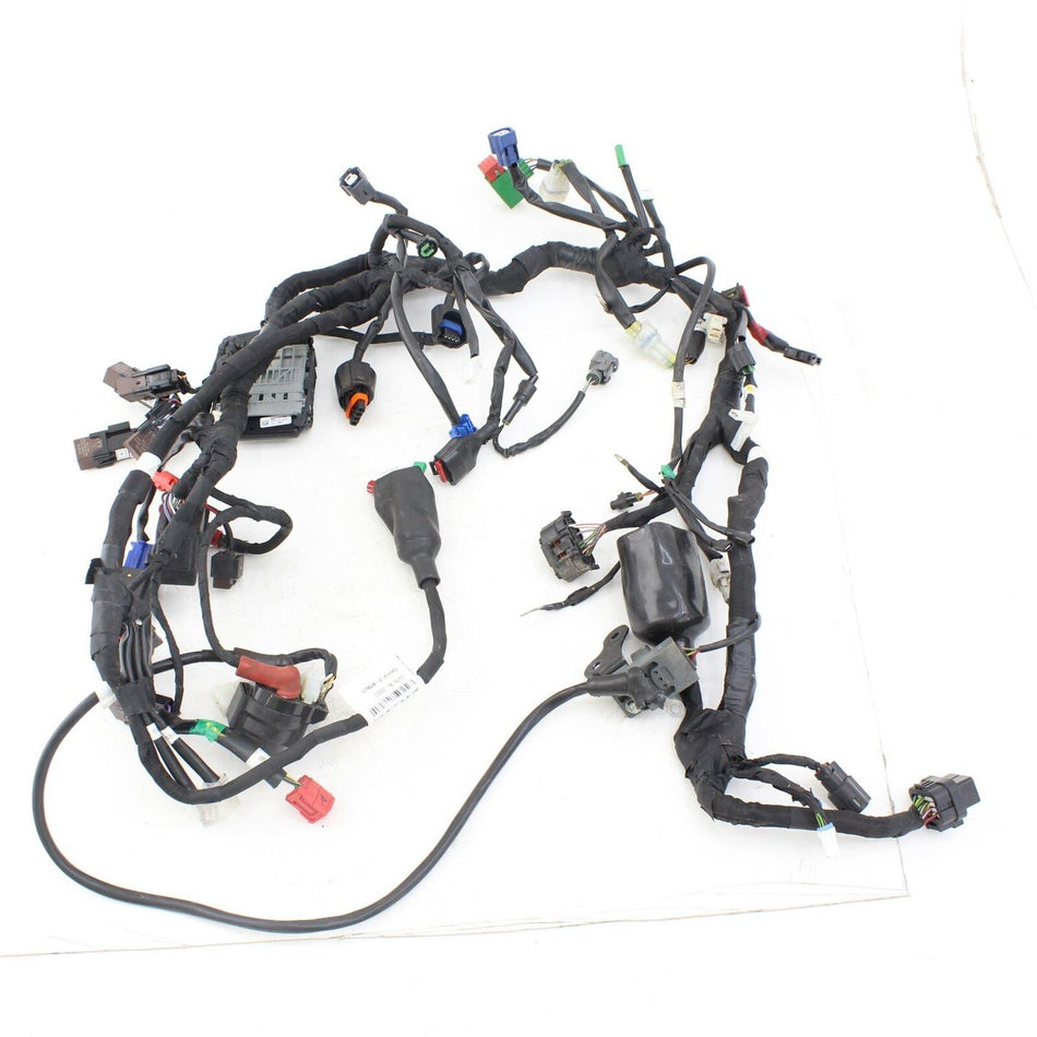 2022-ON KTM RC 125 Main Wiring Loom - 94511075000