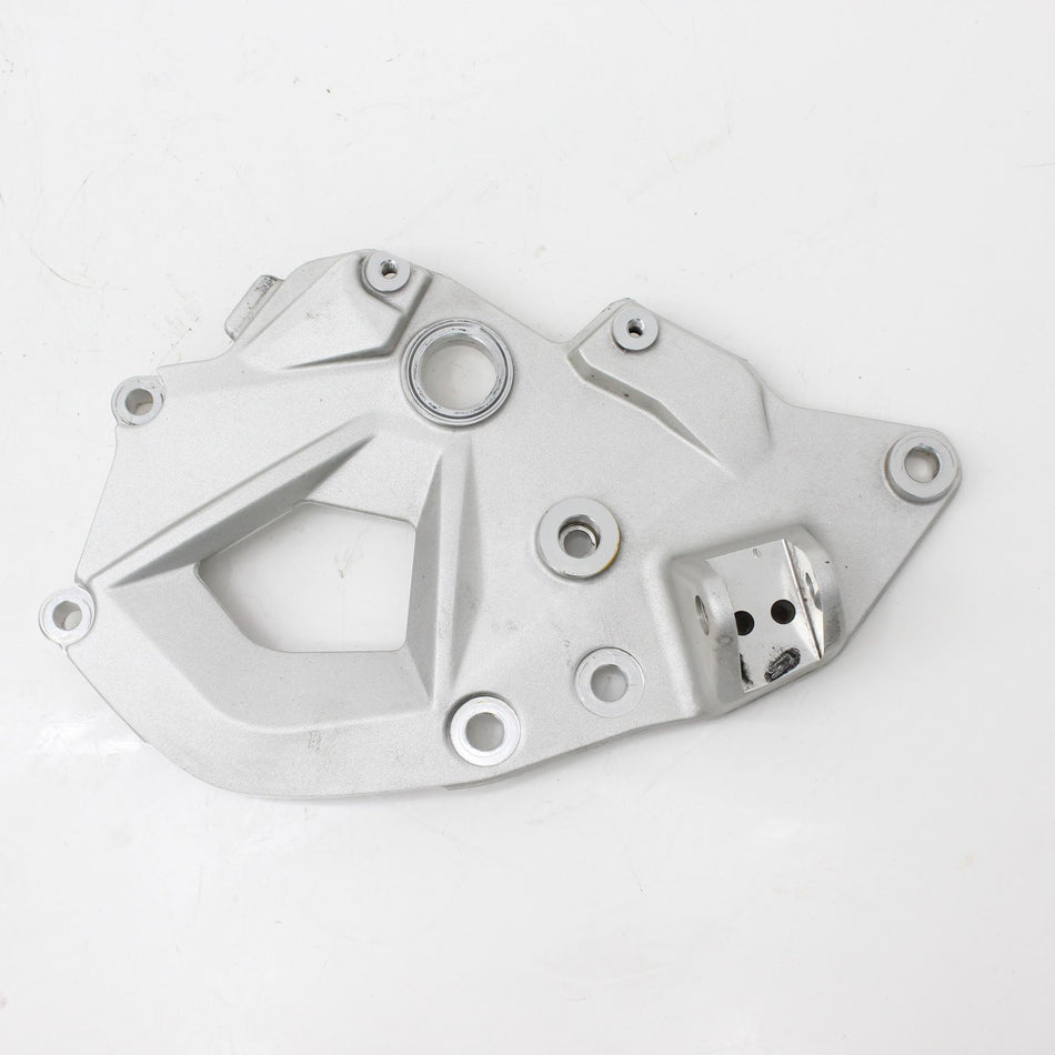 2018-ON BMW F 850 GS SPORT Footrest plate, left - 46718393175