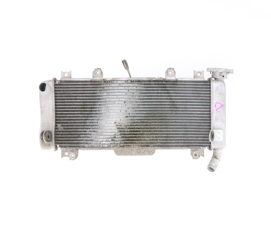 2017-2019 KAWASAKI NINJA 650 Radiator  - 39061-0727