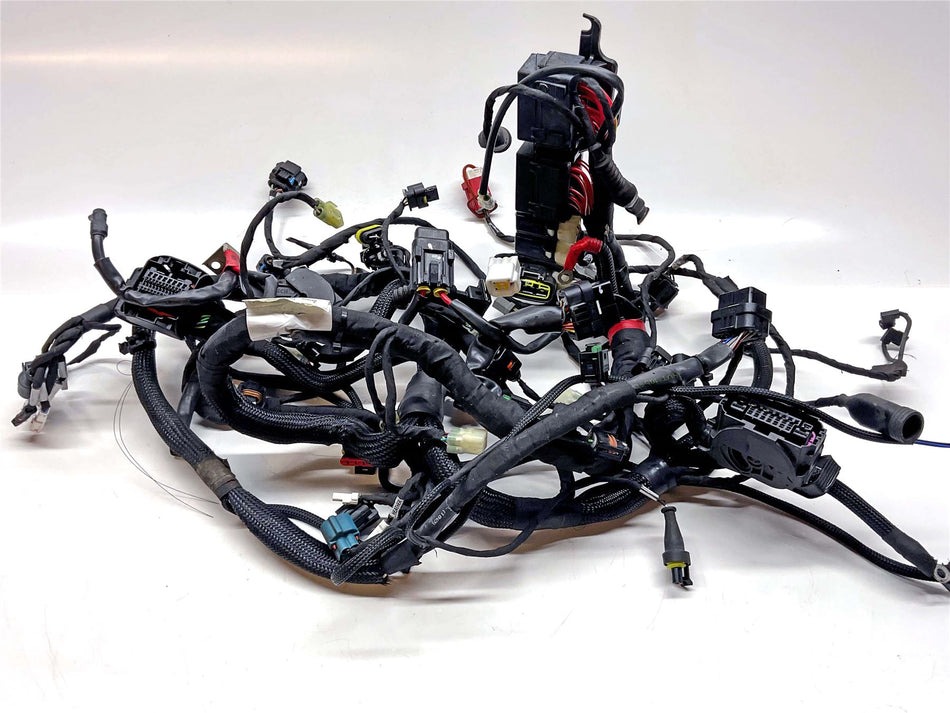 2022 Ducati Multistrada V2 S Wiring Harness - 5101G701C
