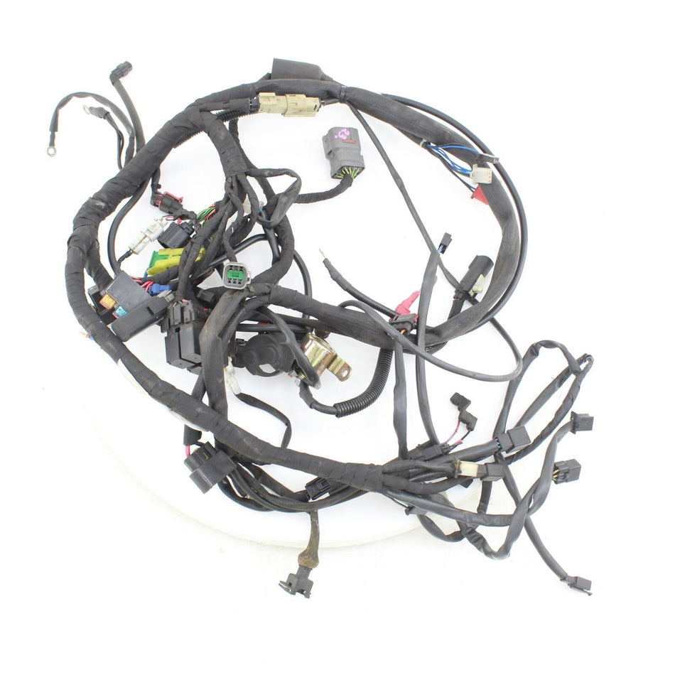 2015-2020 HARELY-DAVIDSON STREET XG 750 Wiring Loom - 69201241