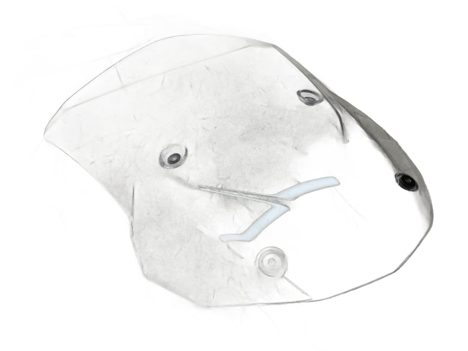 2020 BMW S1000XR Windscreen 46638392776
