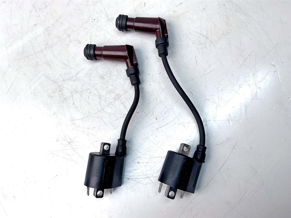 2018 Triumph Bonneville T120 Black Ignition Coils - T1290321