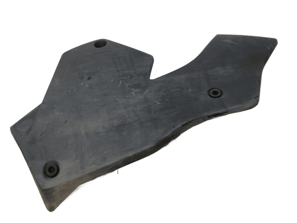 2020 BMW S1000XR Lower Panel 46638392817