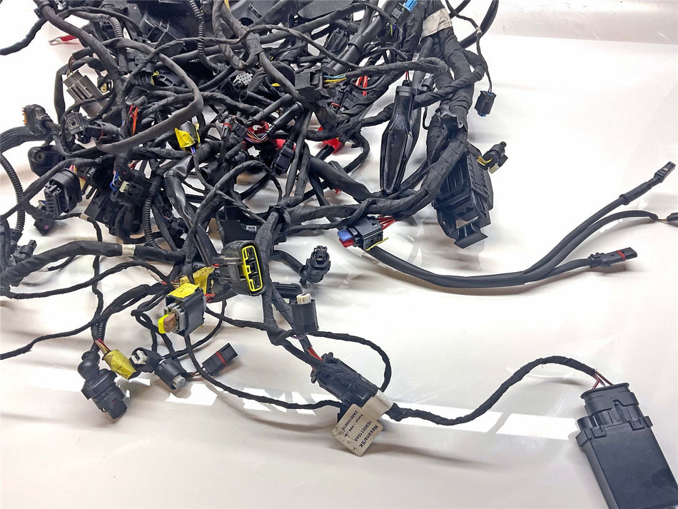 2024 BMW R1300GS Wiring Harness Loom - 61115A745B4