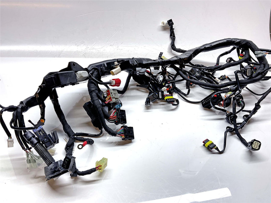 2025 KTM 1390 Super Duke R EVO Wiring Harness Loom - A62411075033