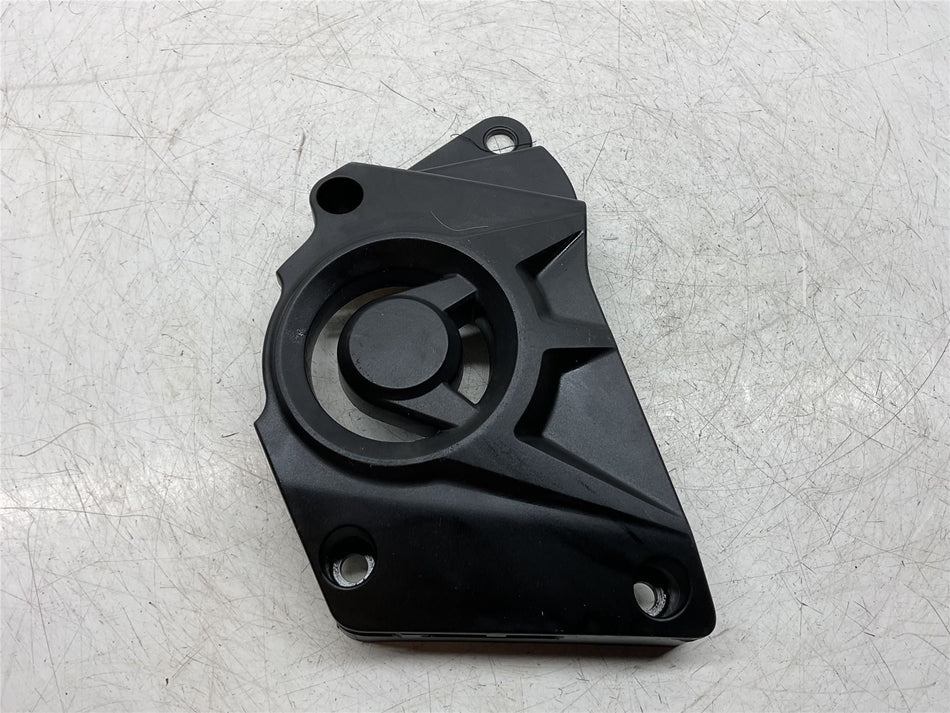 2017 BMW S1000RR Front Sprocket Cover - 33818551867
