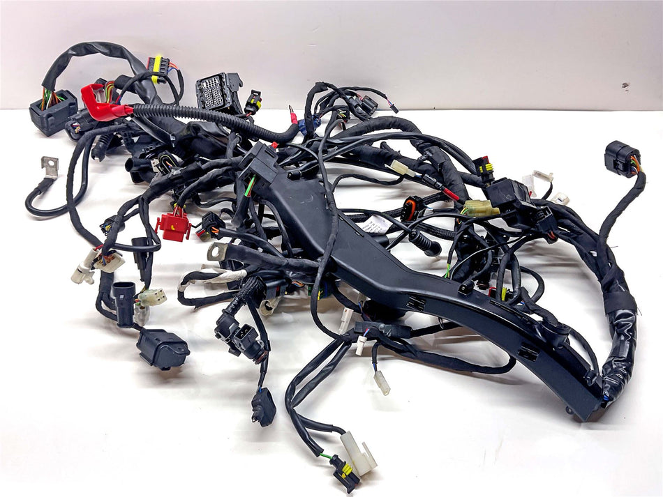 2025 Moto Guzzi V100 Mandello S Wiring Harness Loom - 2D000755