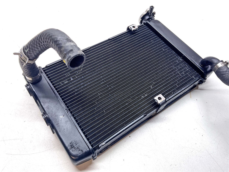 2025 Kawasaki Vulcan S 650 EN650 Radiator - 390610799