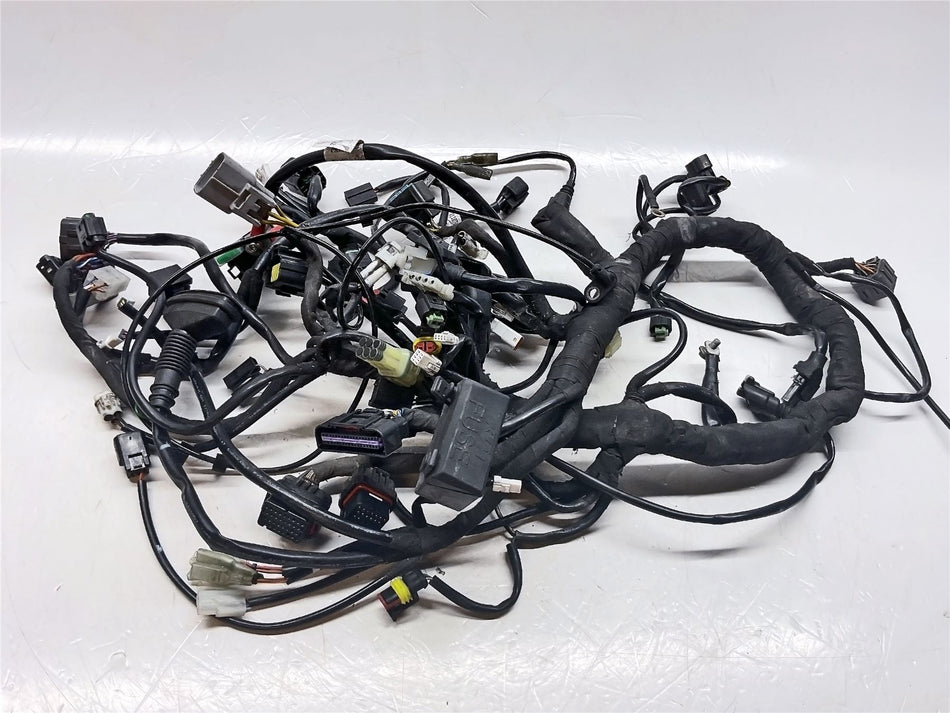 2017 KTM 1290 Super Duke GT Wiring Harness - 61411075033