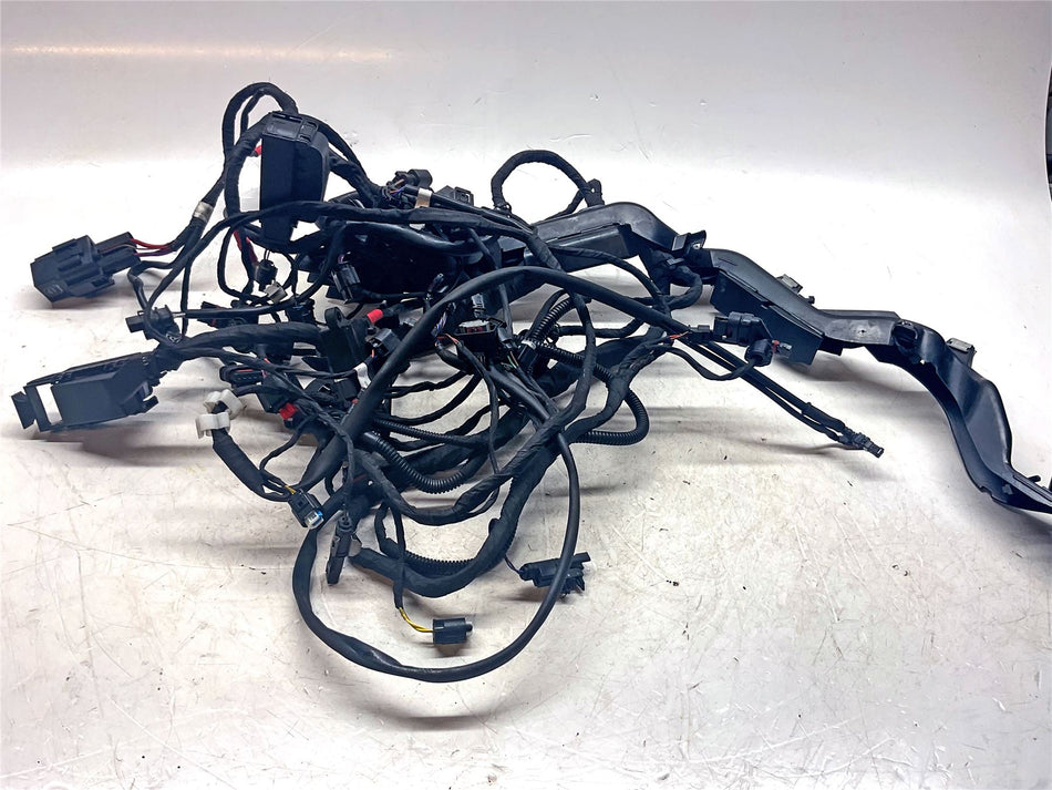 2021 BMW R1250GS Wiring harness - 12518394511