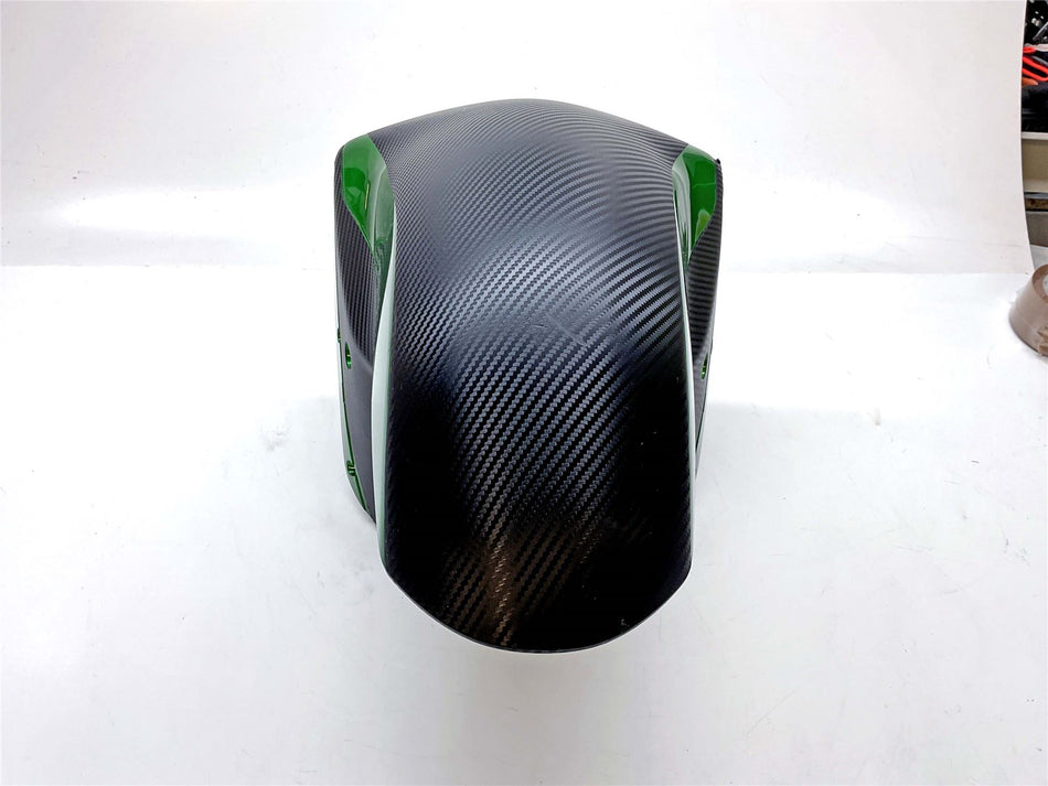 2019 Kawasaki ZZR1400 Performance S Front Mudguard - 35004-0131-60R