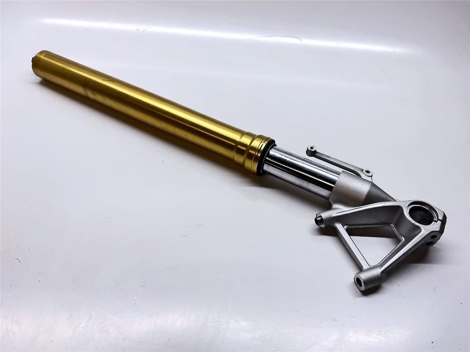 2016 BMW S1000R Right Fork Leg - 31428545858