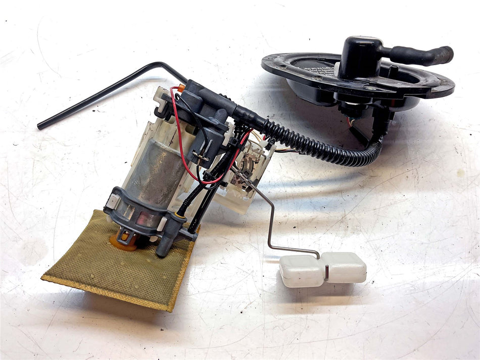 2017 Indian Roadmaster Classic Fuel Pump - 2521787