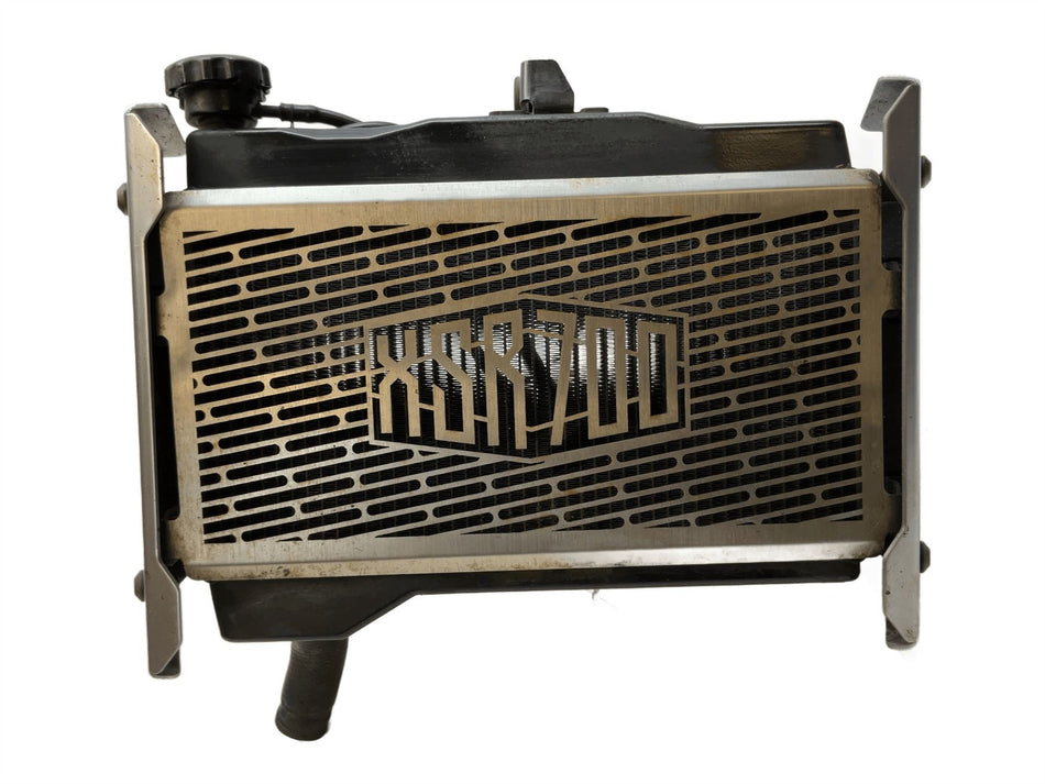 2018 Yamaha XSR700 Radiator and guard B341246100