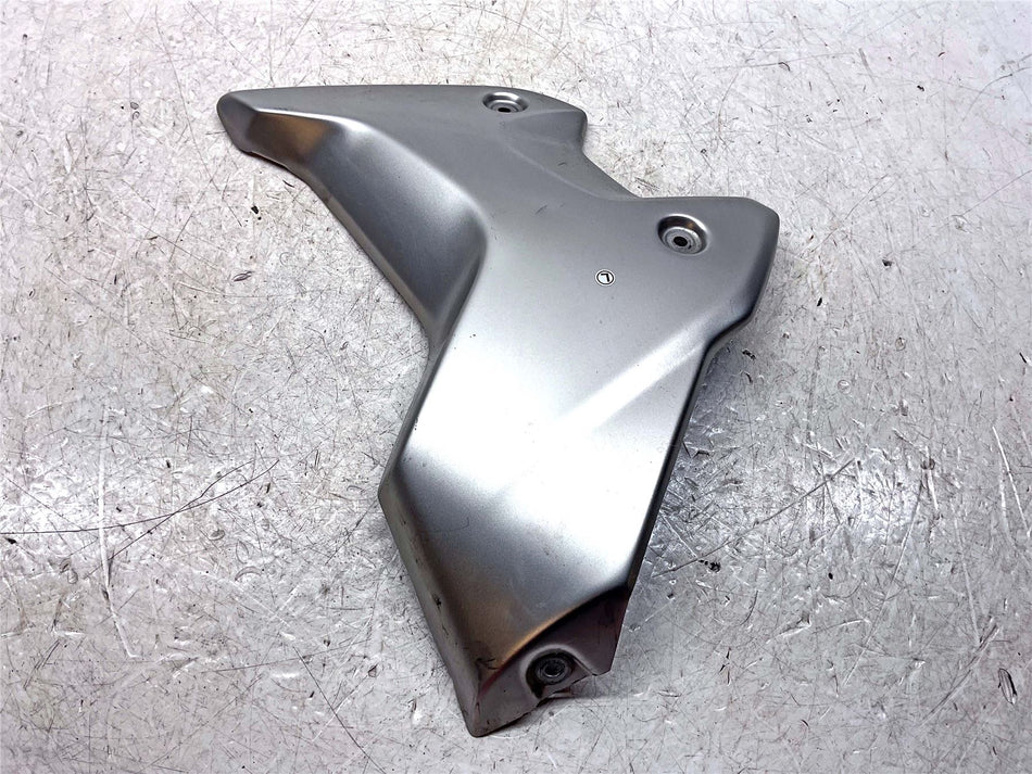 2021 BMW R1250GS Adventure Left Style Radiator Cowl - 46638556653