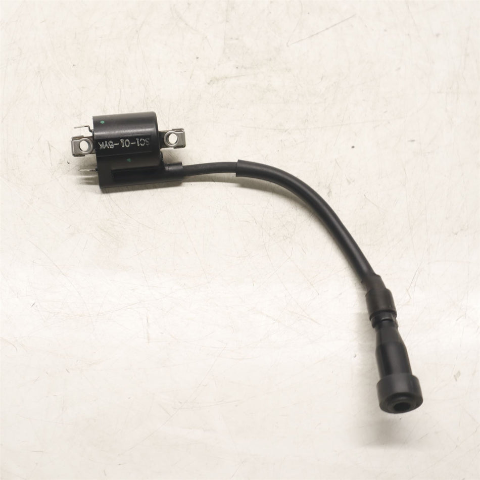 2016 Yamaha MT-125 Ignition Coil - 3C1H23100100