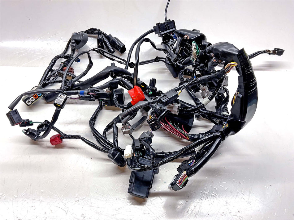 2025 Honda CB1000 HORNET SP Main Wiring Harness Loom - 32100MLLD10