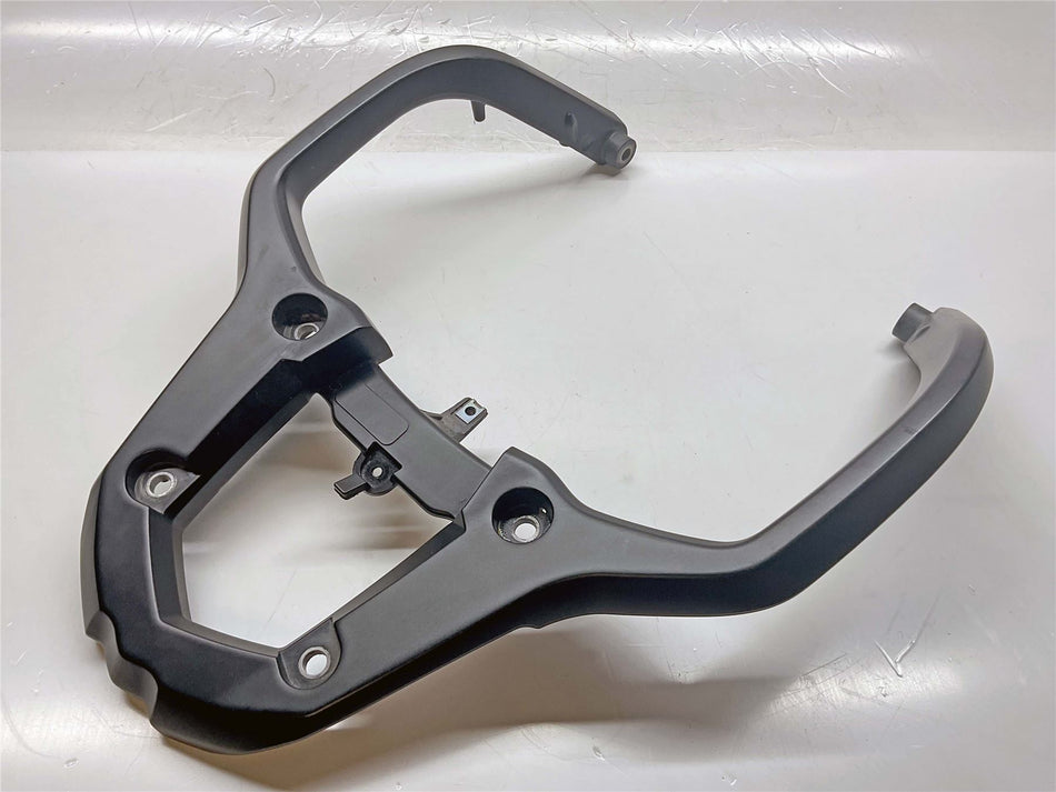 2024 Triumph Tiger 900 GT Grab Rail - T2310732PD