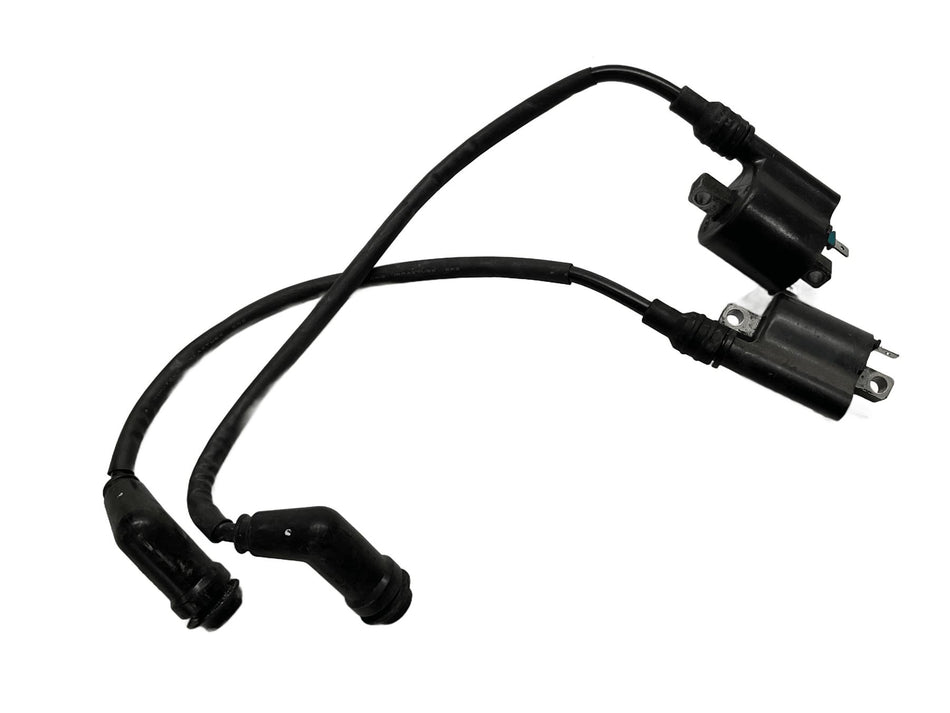2019 Honda CRF1000L Africa Twin Ignition Coils Pair 30510-MJP-G51