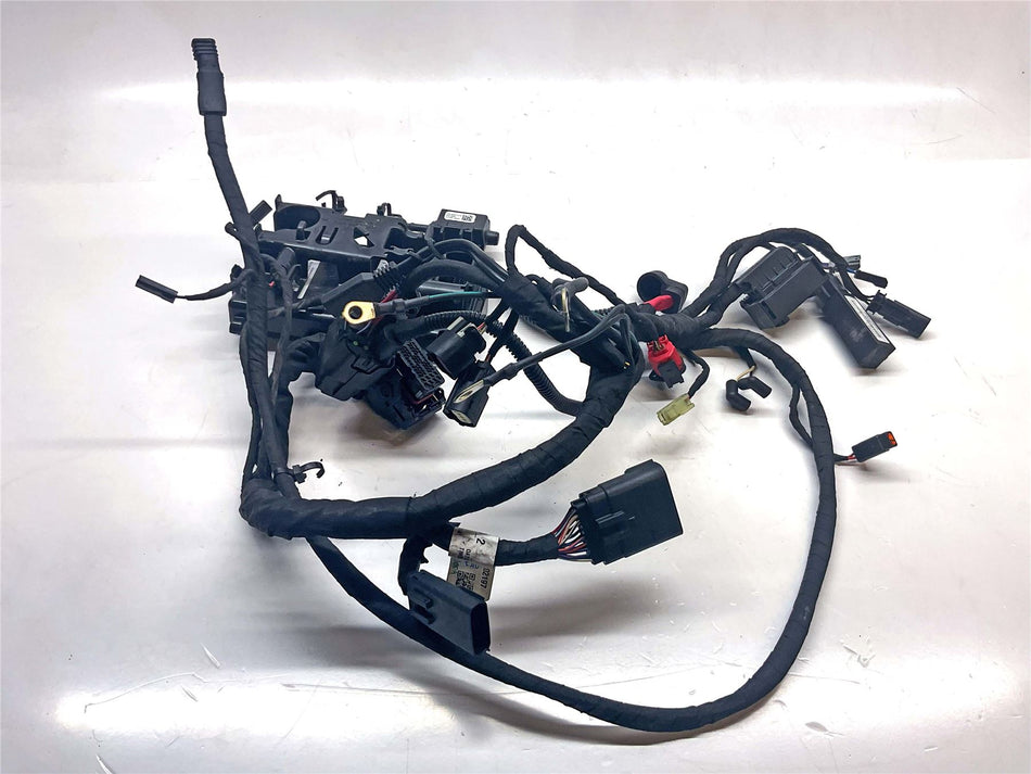 2024 Harley-Davidson Low Rider ST FXLRST 117 Main Wiring Harness Loom - 69202197