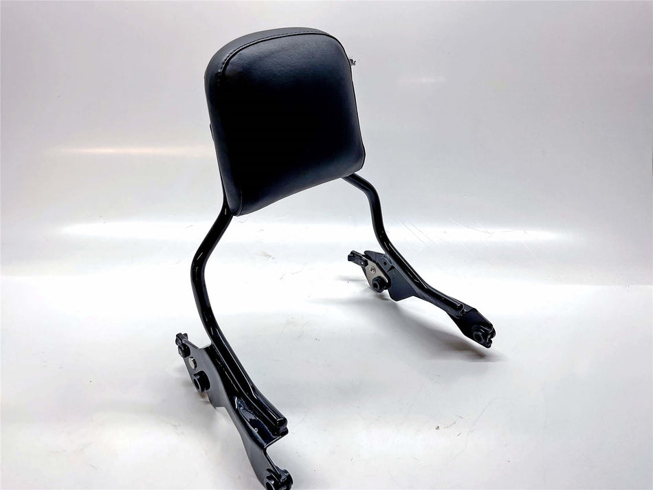 2024 Harley-Davidson Fat Bob FXFBS 114 After Market Pillion Backrest