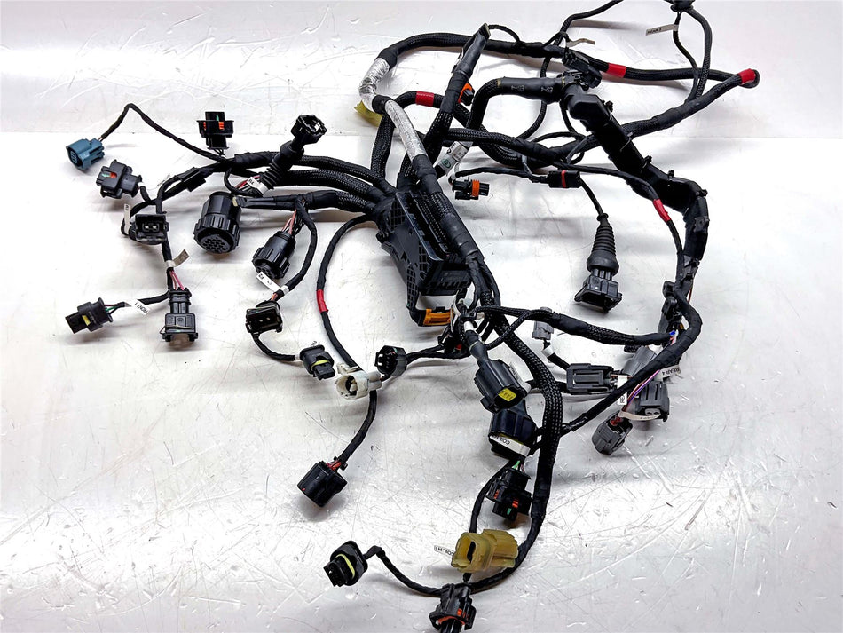 2020 Ducati Streetfighter V4 S Engine Harness - 51401D712E