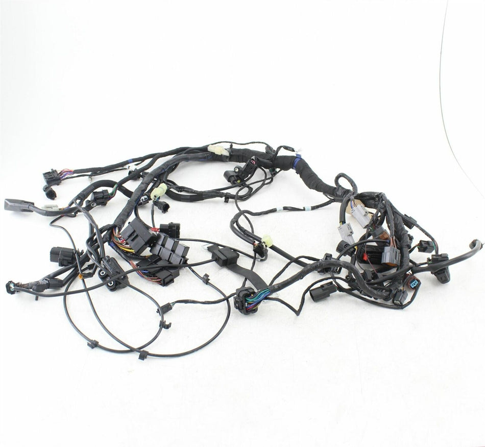 2021-2022 TRIUMPH TRIDENT Main Harness - T2505053