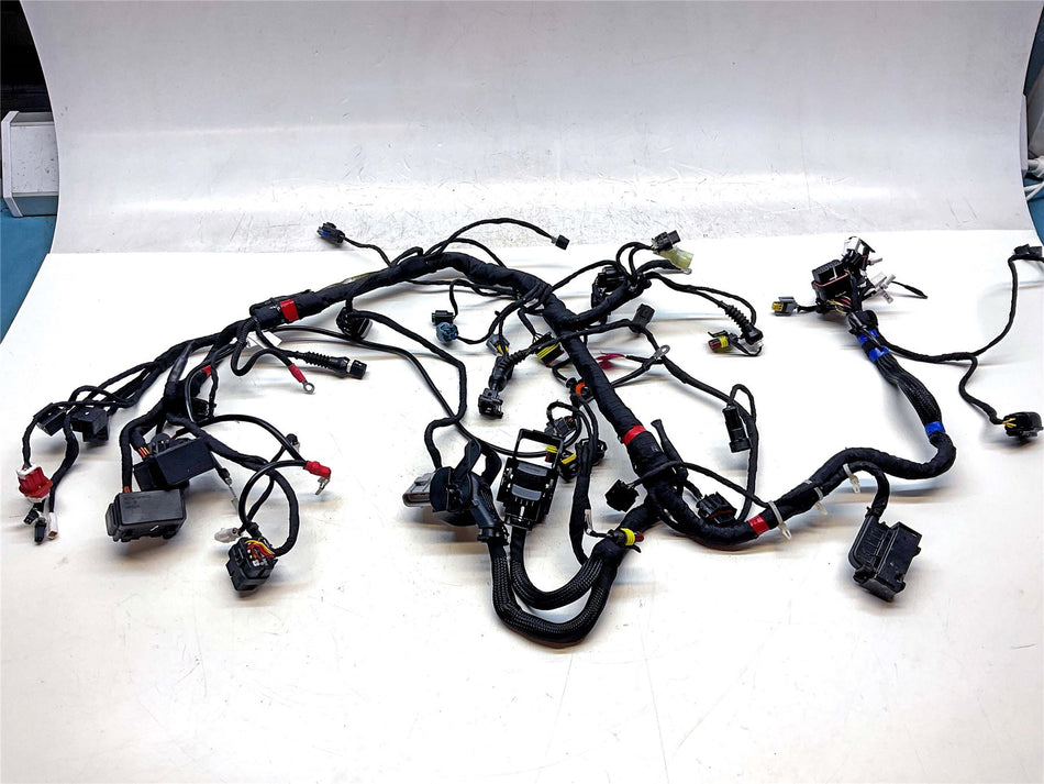 2025 Ducati Hypermotard 698 Mono Wiring Harness Loom - 5101L642E