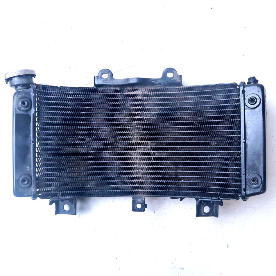 2024 KTM Duke 125 Radiator - 2401001899