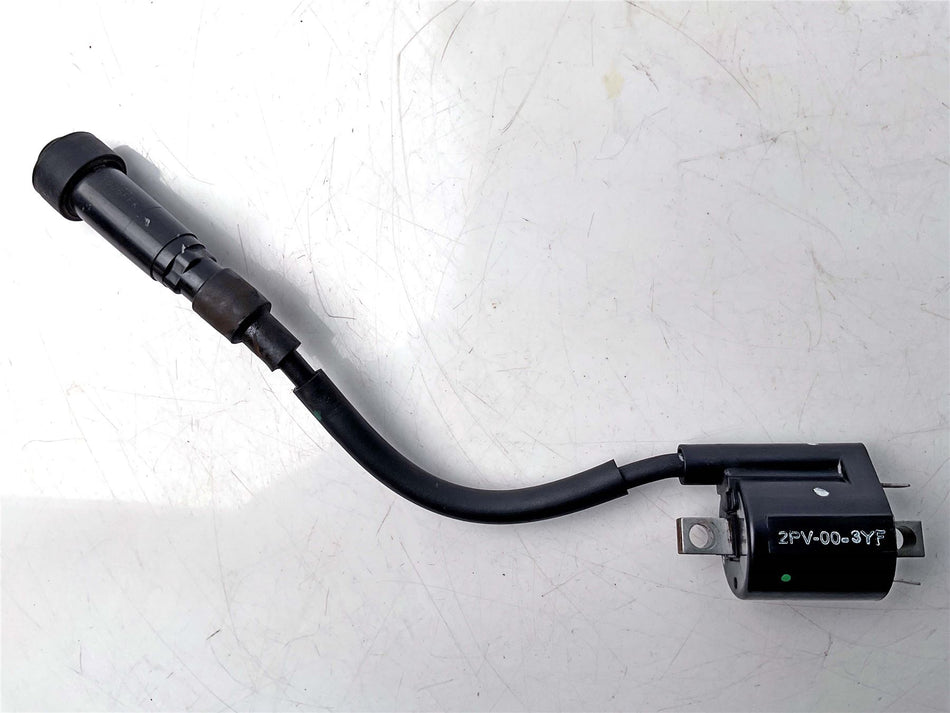 2024 Yamaha YZF-R 125 Ignition Coil - 3C1H23100100
