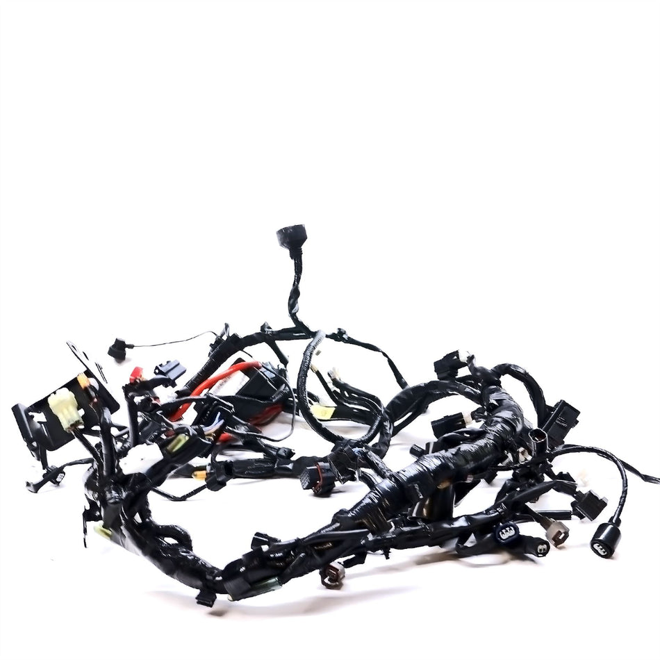 2024 Yamaha XSR900 GP Wiring Harness - BMG8259000