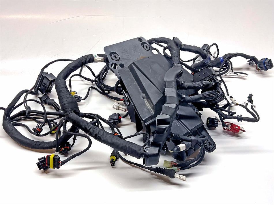 2023 Ducati Monster 937 Main Wiring Harness Loom  - 5101H921F