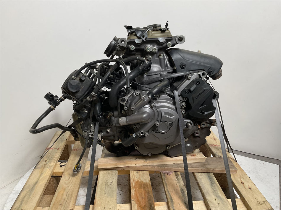 2022 Ducati Monster Plus Engine 6000 Miles - Great Condition