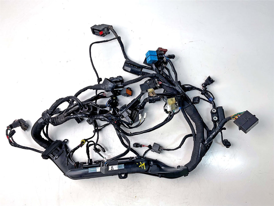 2018 Triumph Bonneville T120 Black Main Wiring Harness - T2502262