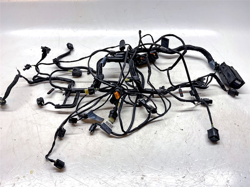 2021 BMW R1250GS Engine Wiring Harness - 12519480230