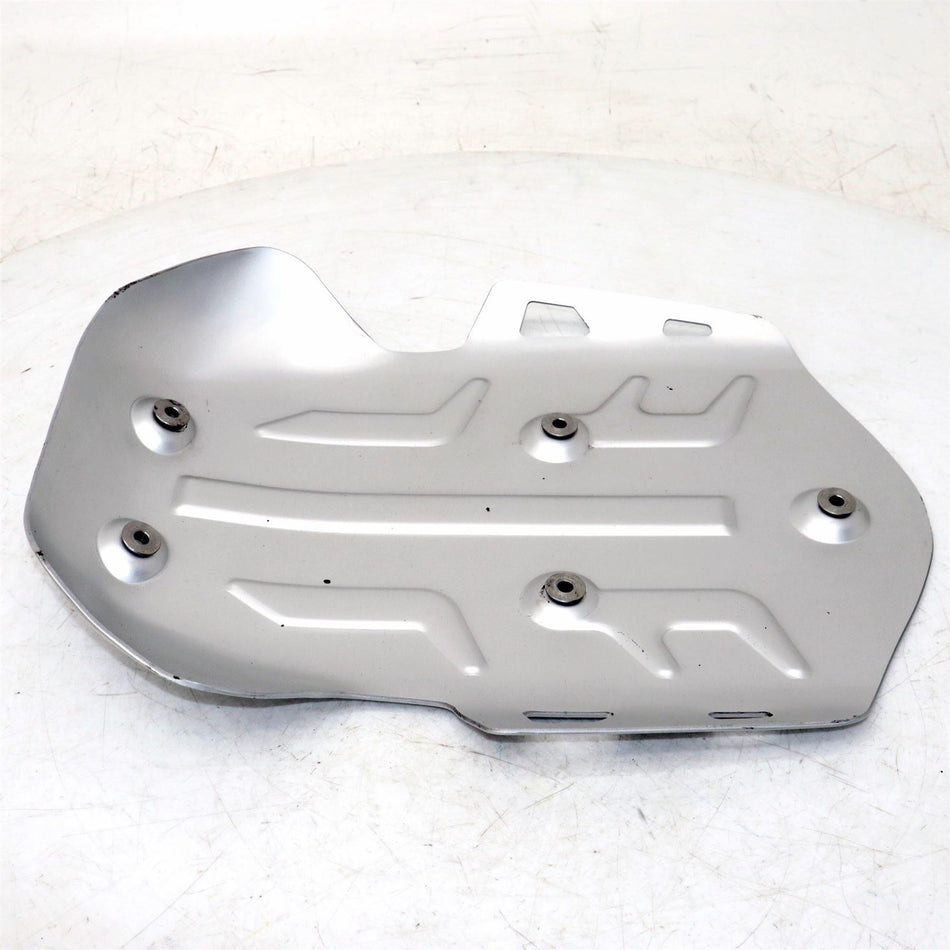 2019-2023 BMW R 1250 GS Skid Plate - 11848485696