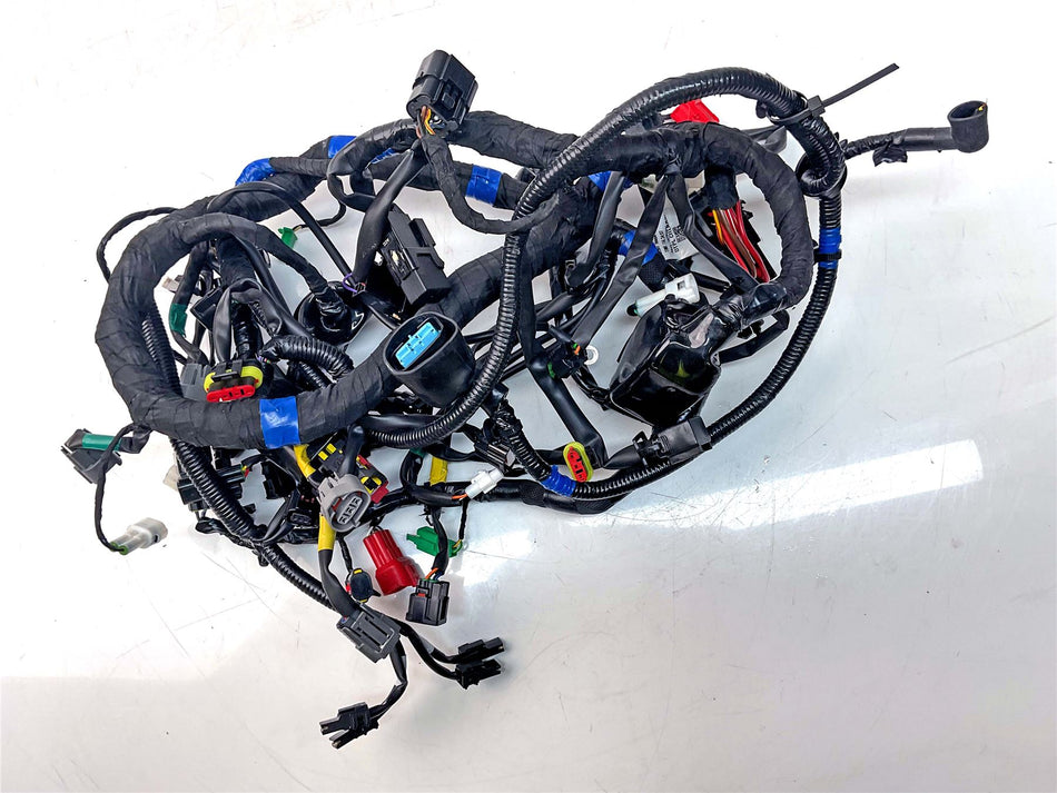 2025 Royal Enfield Bear 650 Wiring Harness Loom - 148088F