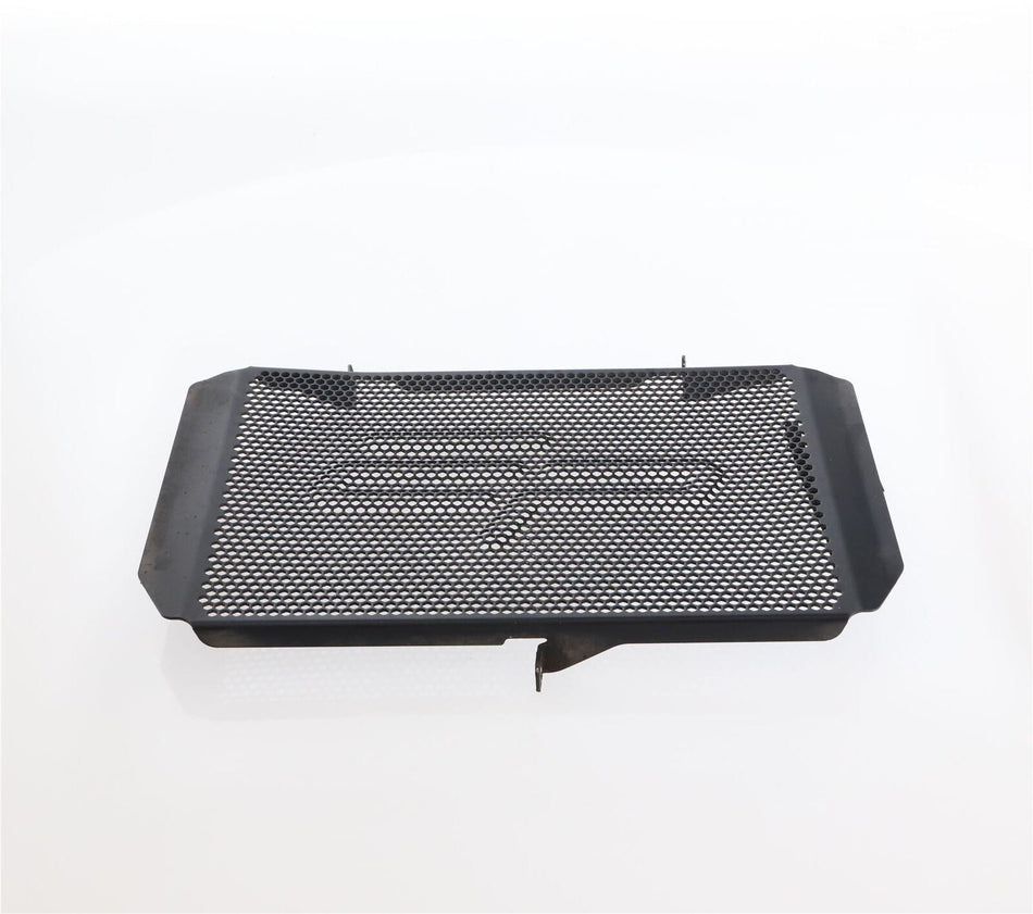 2012-2014 KAWASAKI VERSYS 1000 Radiator Guard - B29069