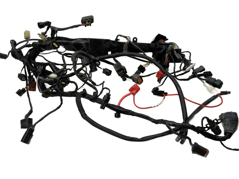 2025 Triumph Street Triple 765 RS Wiring Harness Loom T2508394