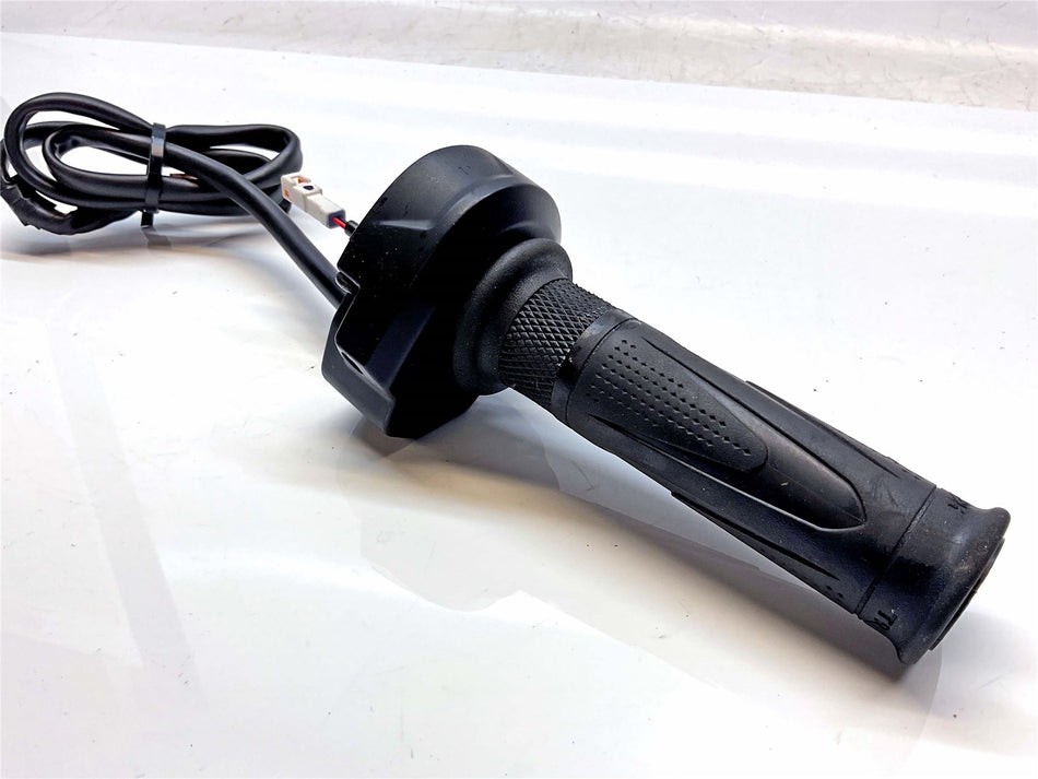 2021 Triumph Tiger 900 GT Pro  Cruise Control and Grip - T2045224